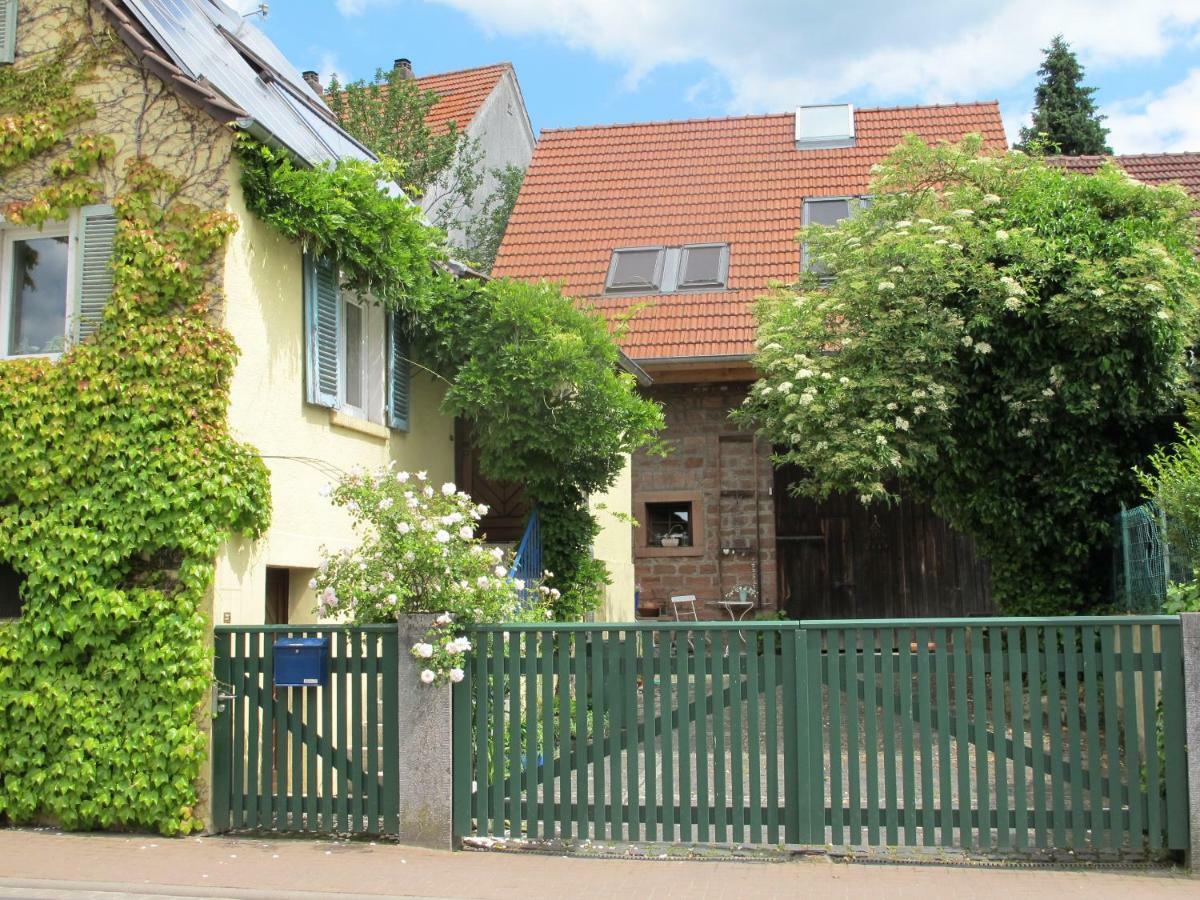 Ferienwohnung Spessart Strassbessenbach المظهر الخارجي الصورة